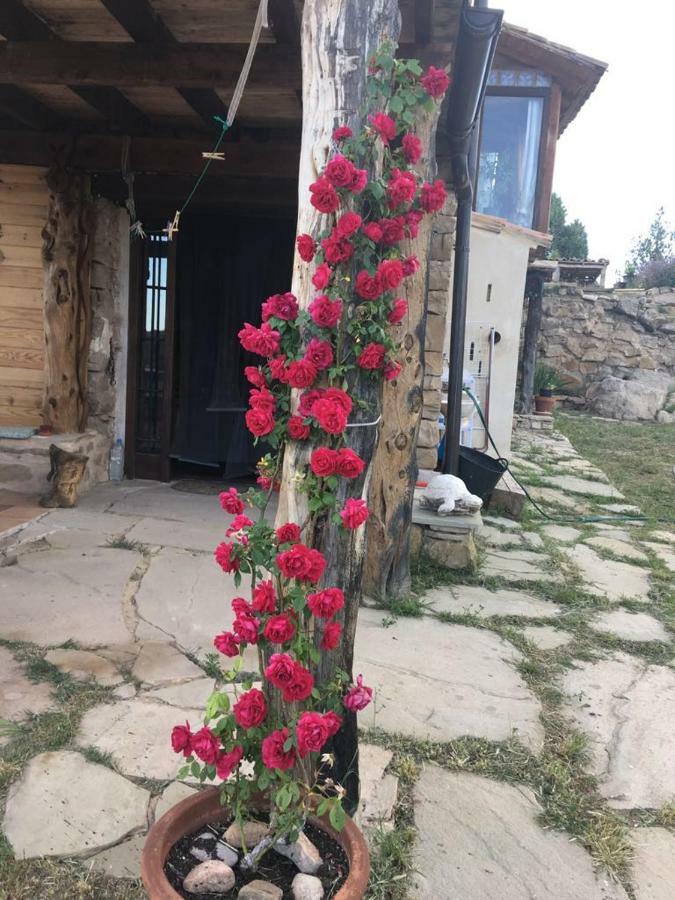 Monolocal Rural Con Encanto Valbona Dış mekan fotoğraf