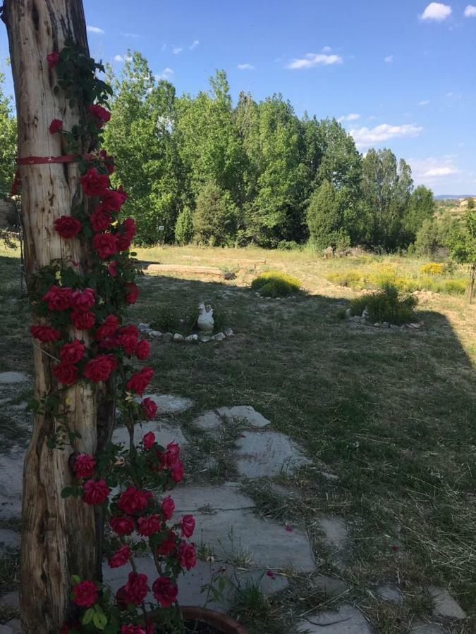 Monolocal Rural Con Encanto Valbona Dış mekan fotoğraf